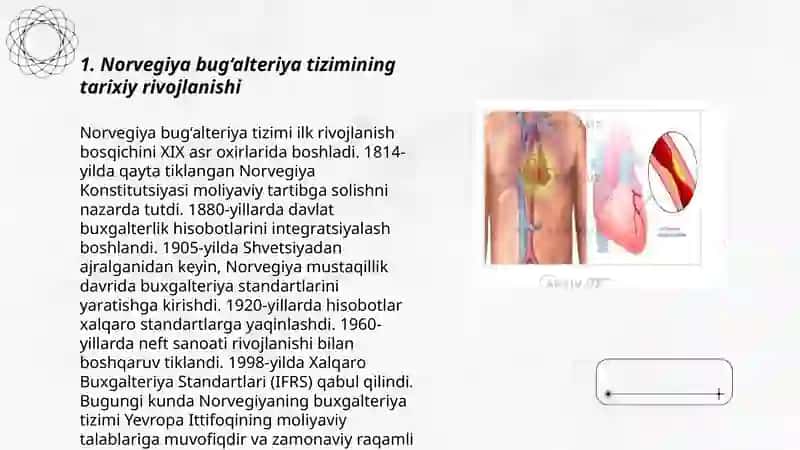 Norvegiya bug'alteriya tizimini, o'tmishi, kelajagi va hozirgi vaqti 3
