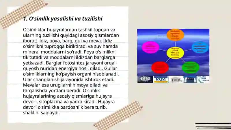 O'simlik yasalishi va tuzilishi 3