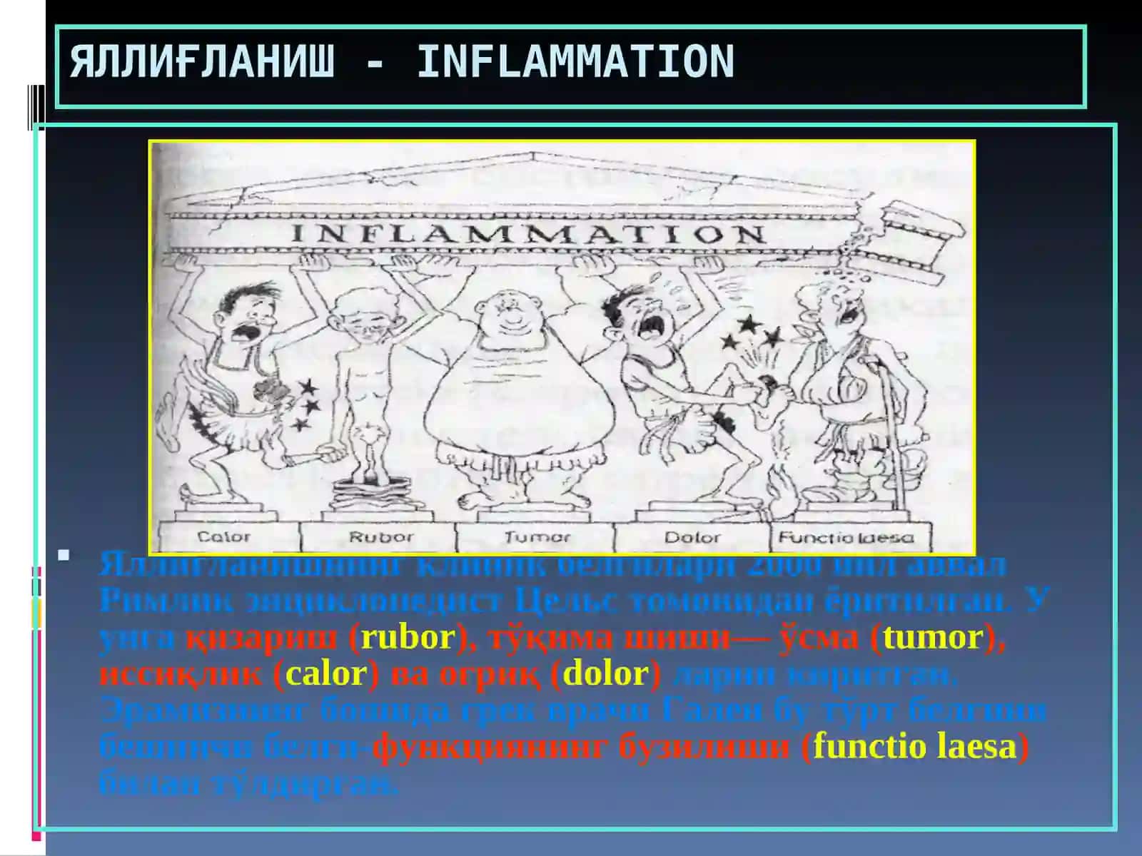 Яллиғланиш 3