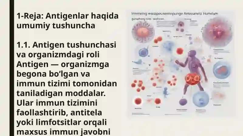 Antigenlar va Antitelalar 3