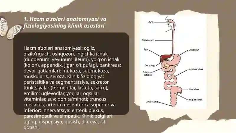 Hazm aʼzolari klinik patalogiyasi va birinchi tibbiy yordam 3