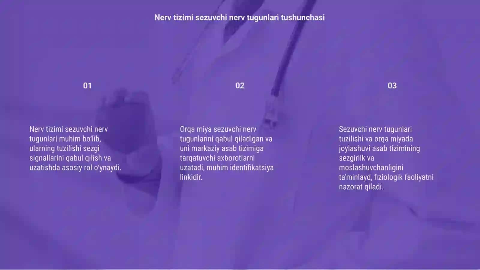 Nerv tizimi sezuvchi nerv tugunlari tuzilishi 3