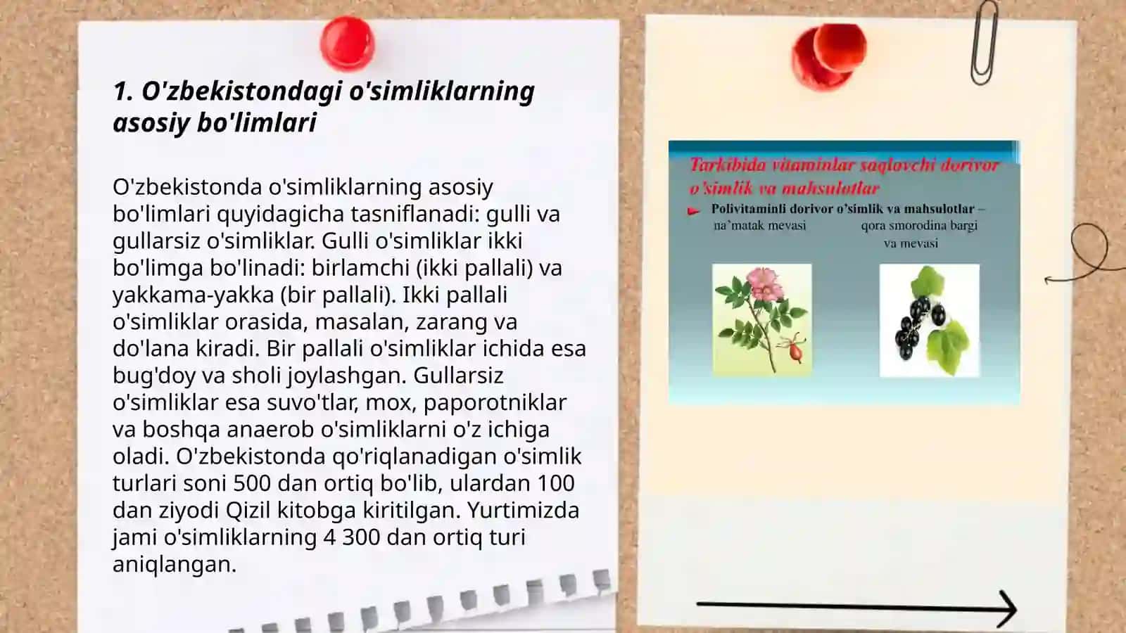 O'zbekistondagi o'simliklarning asosiy bo'limlari 3