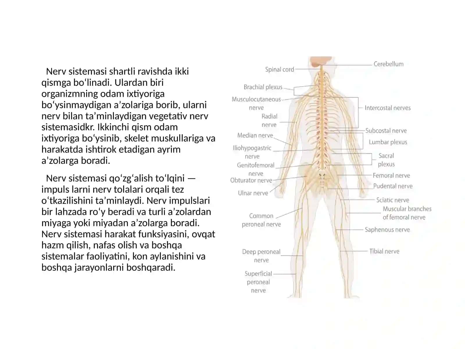 Global muammolarning mezonlari va darajalari 3