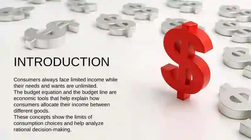 BUDGET EQUATION AND BUDGET LINE 3