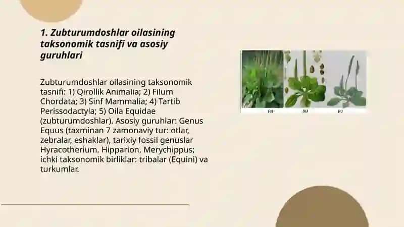 Farmasevtik Botanika 3
