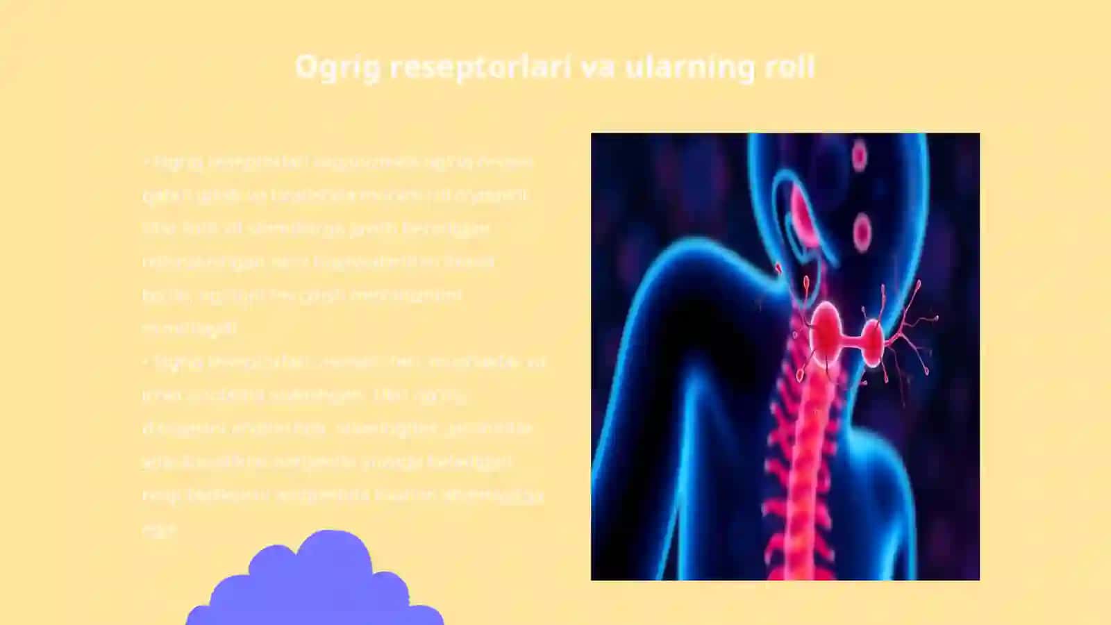 Ogrig reseptorlari Visseroretseptorlar. Proprioretseptorlar 3