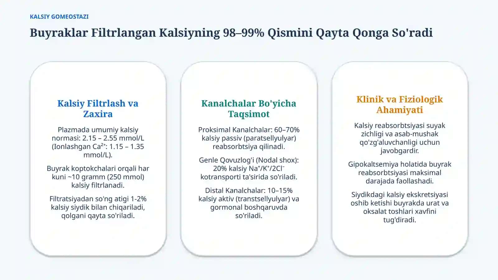 Buyraklarning Ca, P va HCO₃⁻ almashinuvidagi roli — 15 slayd 3