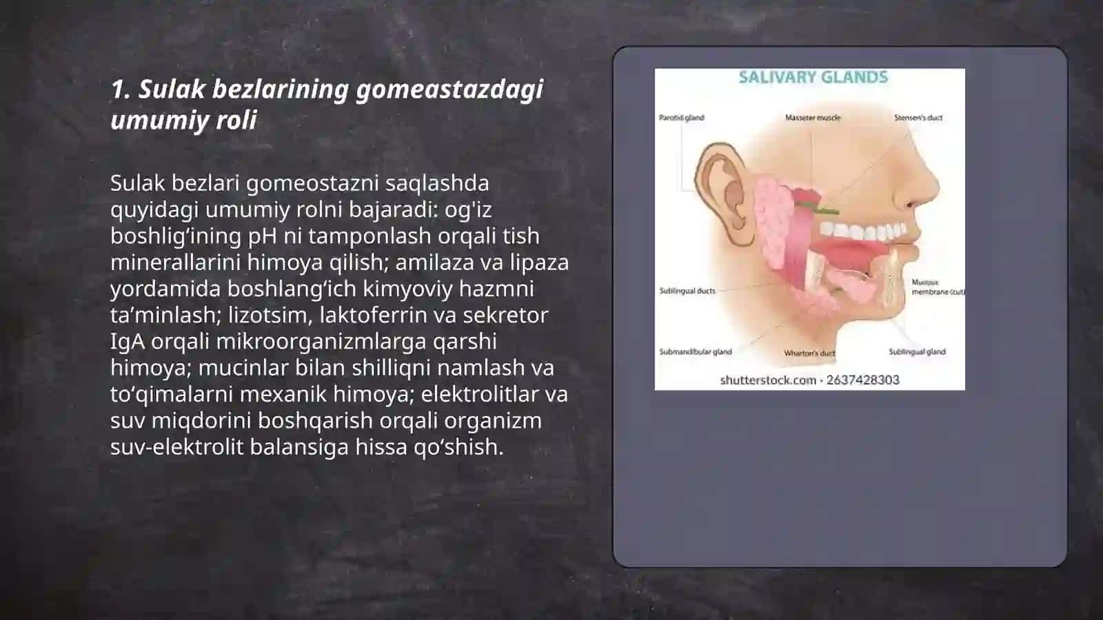 Organizmda gomeastazni saqlab turishda sulak bezlarining ishtiroki 3