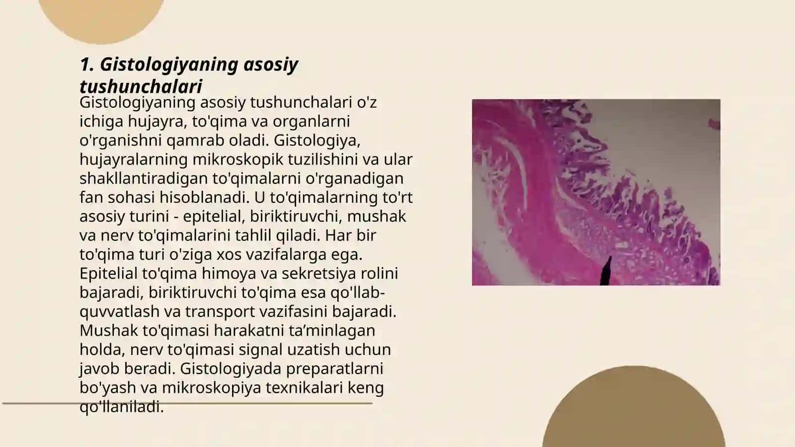 Umumiy gistologiya.Toqimalar epiteliy toqimasi va bezlar. Ichki muhit toqimalari.Qon.Gemopoez 3