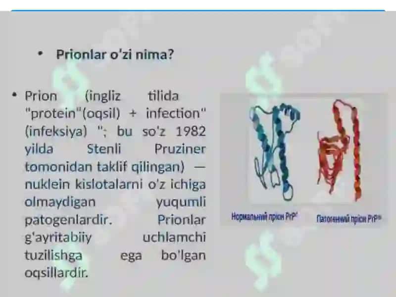 PRIONLAR HAQIDA TUSHUNCHA, KELIB CHIQISHI PRION KASALLIKLARI,AMALIYOTDA AHAMIYATI. OZIQ MUHITLAR, XTOMOGEN OZIQ MUHITLAR, IDENTIFIKATSIYDA QO`LLANILISHI 3