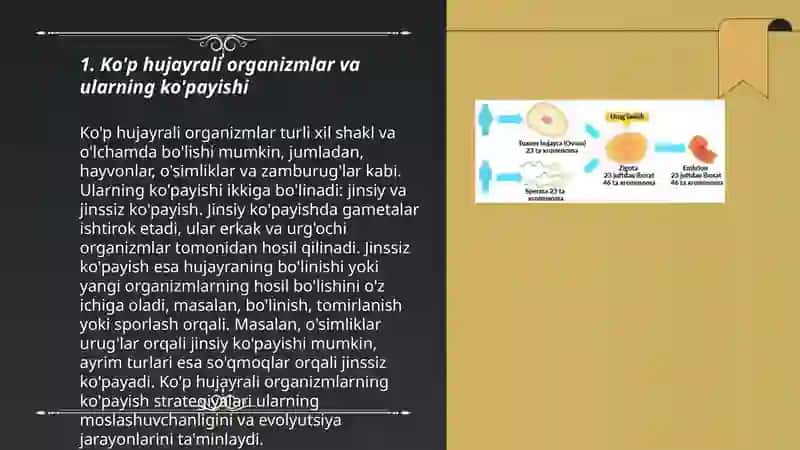Sitologiya: ko'p hujayrali organizmlardagi jinssiz va jinsiy ko'payishning xillari. Partenogenez va uning xillari 3