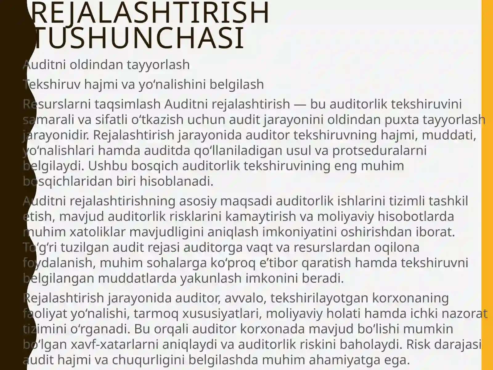 Auditorlik tekshiruvi nirejalashtirish 3