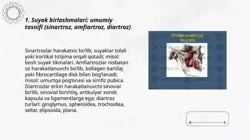 Tana suyaklarini birlashuvi va ularning bolalardagi xususiyatlari 3
