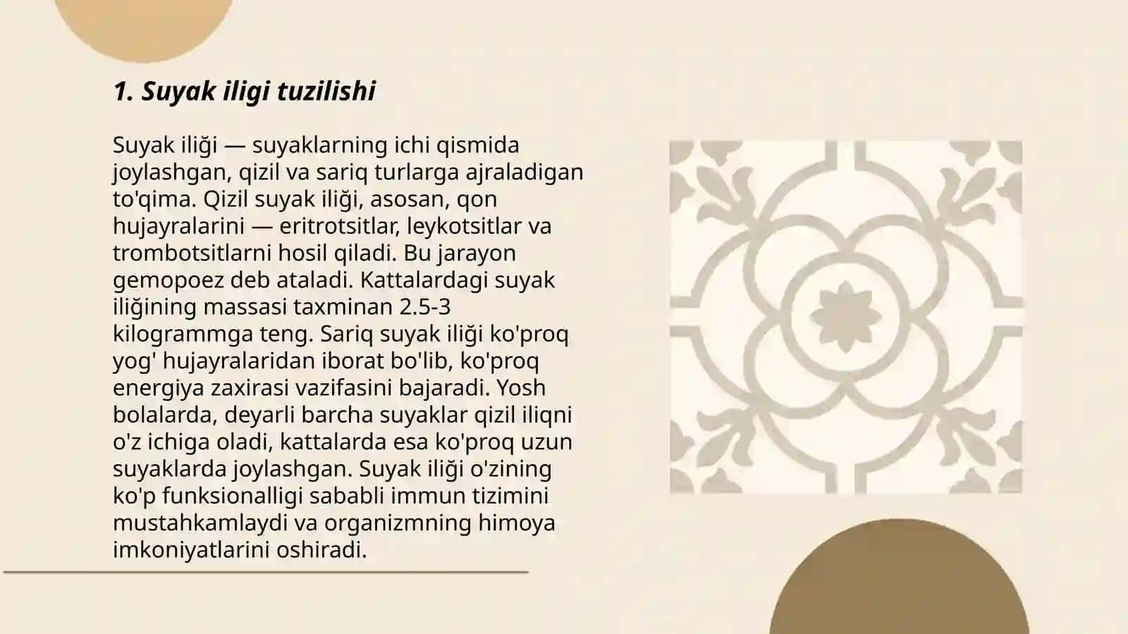 Suyak iligi: tarakkiyoti, tuzilishi, vazifasi. Kizil ilik, sarik ilik 3