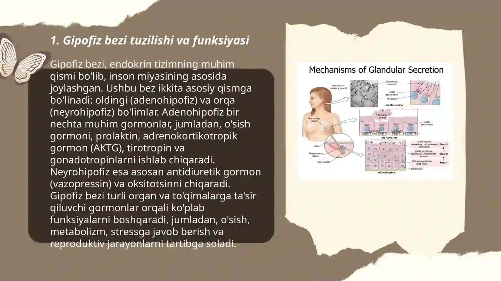 ichki sekretsiya bezlarining tuzilishi va fiziologiyasi 3
