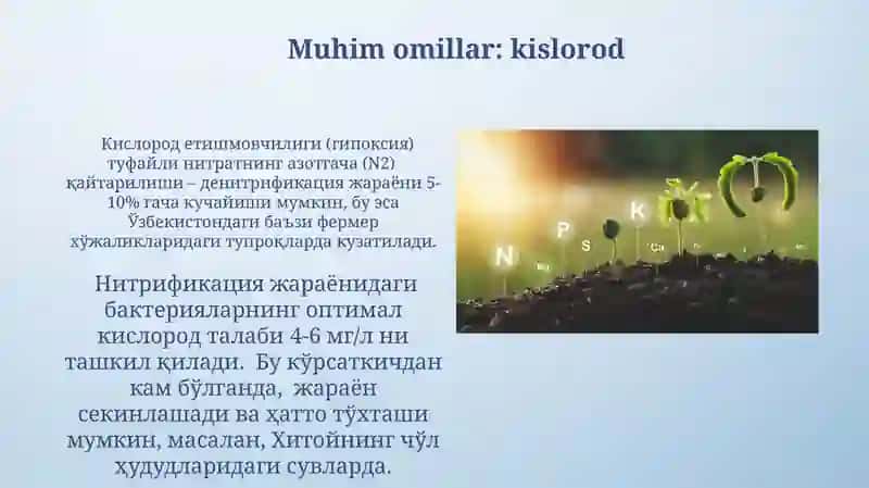 Nitrifikatsiya jarayoni 3
