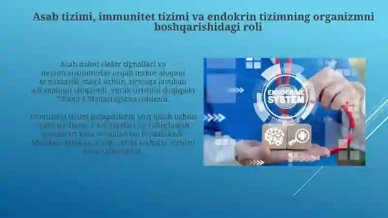 Organizmning nerv, immun- endokrin boshqariluvi 3