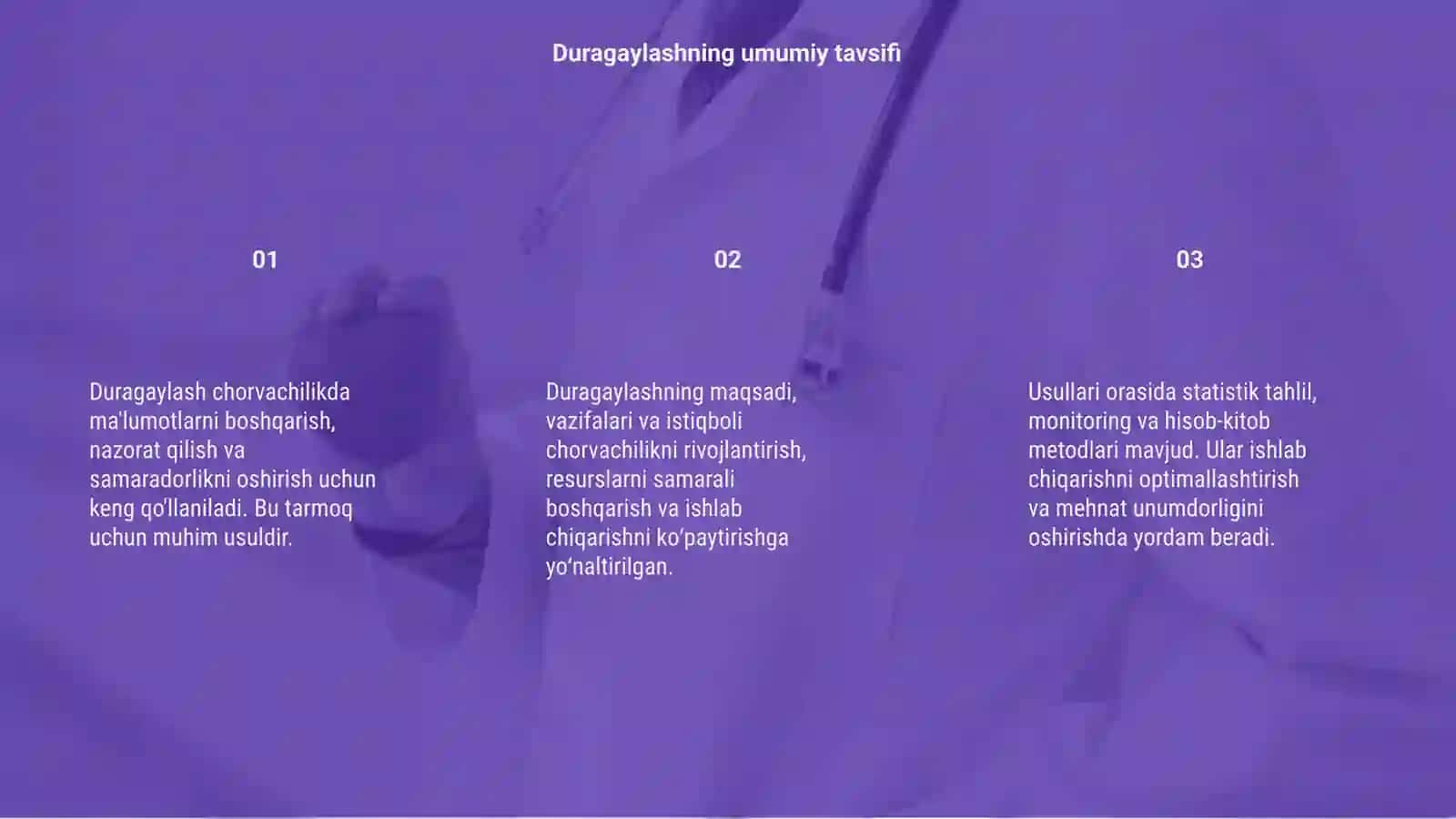Duragaylash chorvachilikda 3