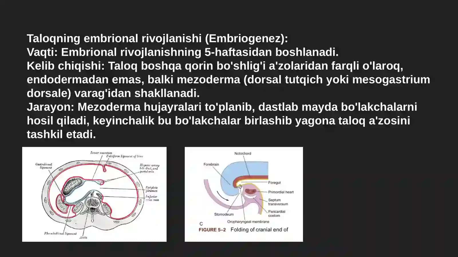 Taloqning tug'ma anomaliyalari va o'smalari Timusning rivojlanish buzilishlari, 3