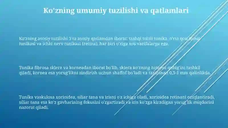 Ko'z.Gistologik tuzilishi 3