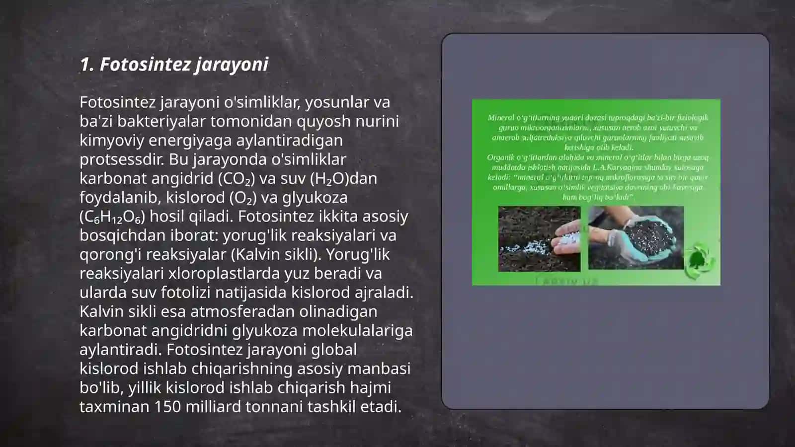 Fotoresepsiyaning morfologik asoslari 3