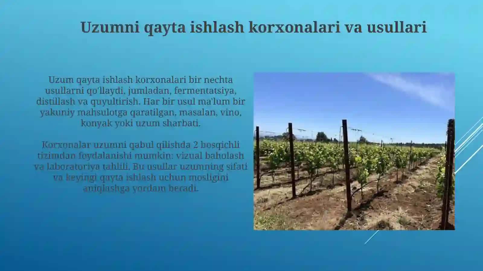 Uzumni qayta ishlash korxonalari va usullari 3