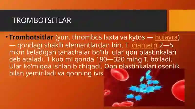 Trombotsitlar. Fibrinoliz 3