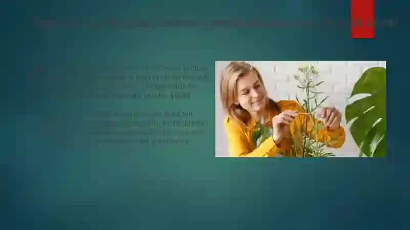 Sigirquyruq oilasining dorivor o'simliklarining farmakologik ta'siri 3