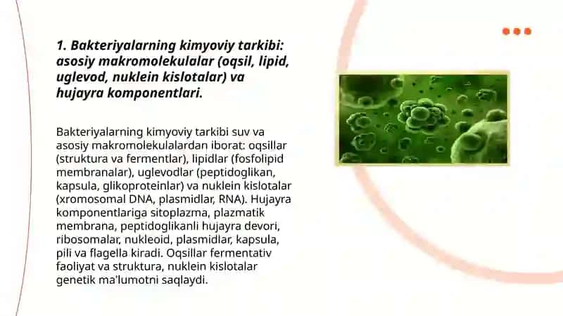 Bakteriyalarning fiziologiyasi 3