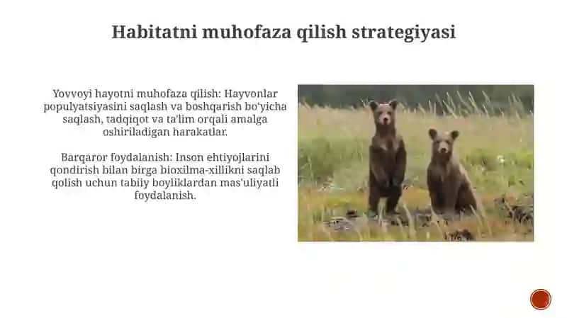 Hayvonot olami va uni muhofaza qilish 3