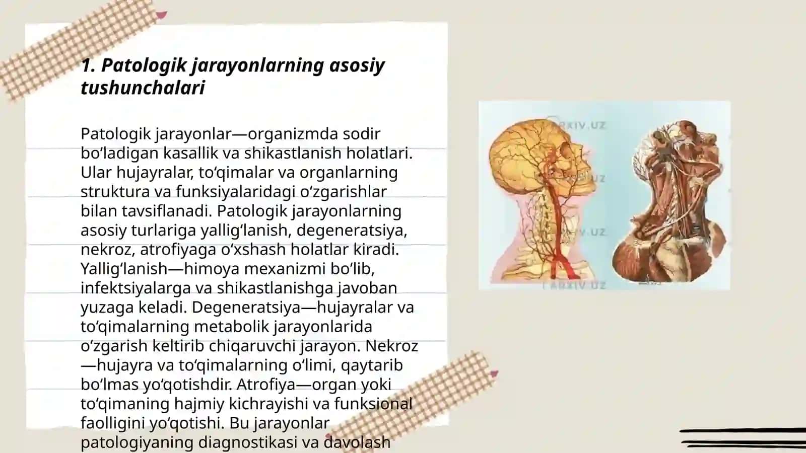 Patologik jarayonlarni rivojlanishida tashqi va ichki sharoitlarning ahamiyati 3