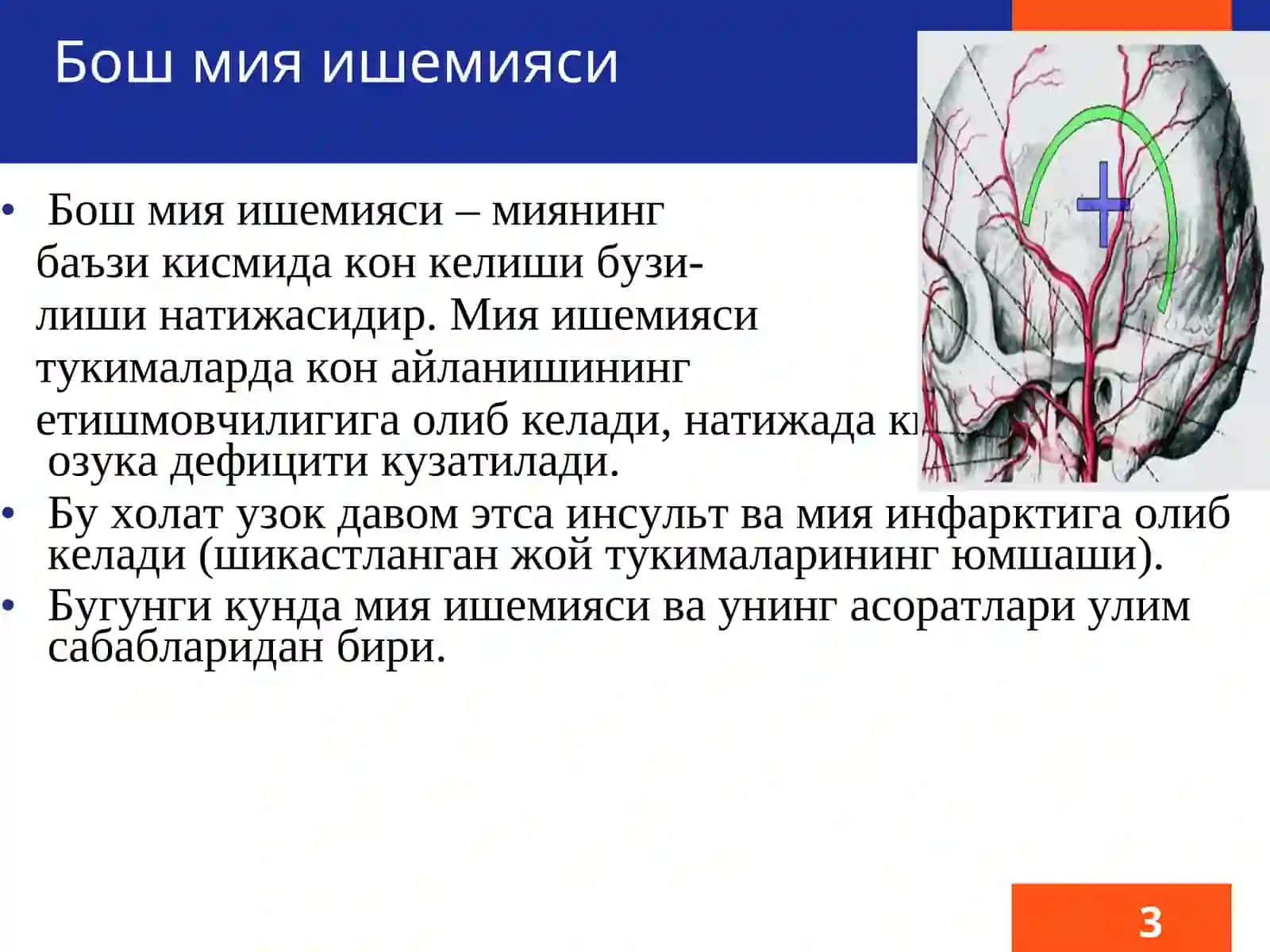 Бош мия ишемияси 3