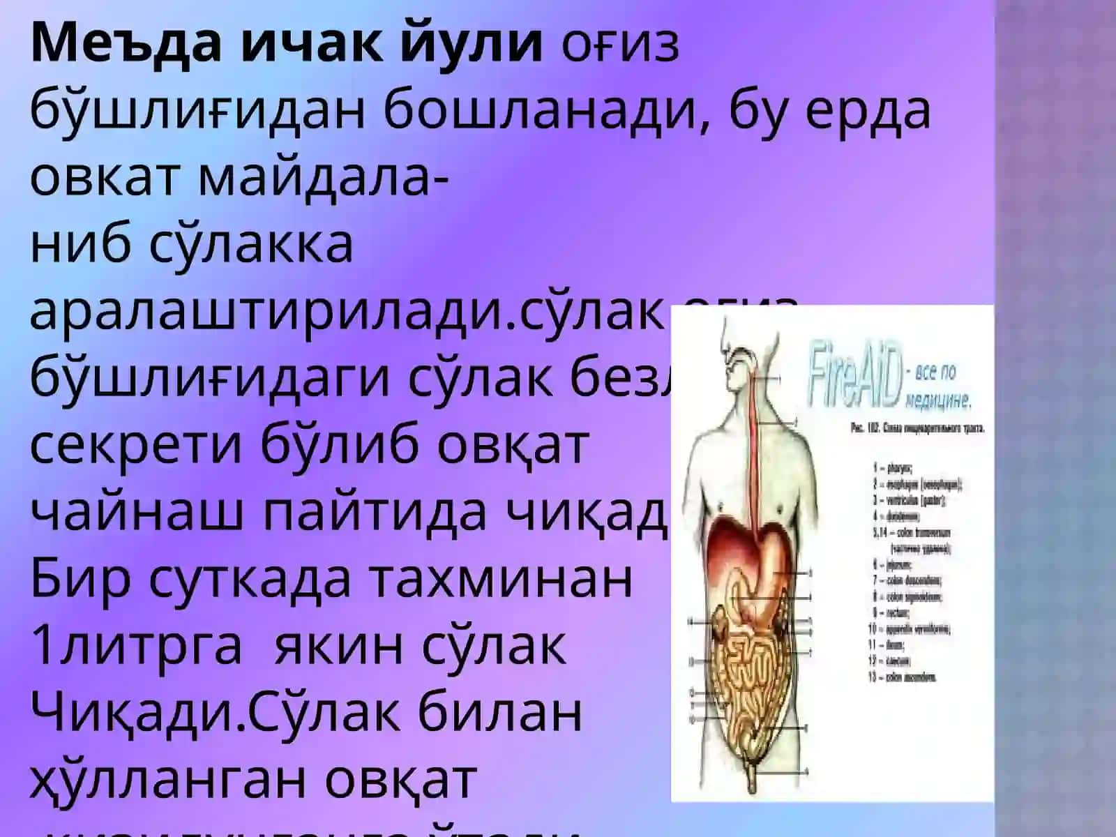 Овқатхазмқилишсистемасини текшириш 3