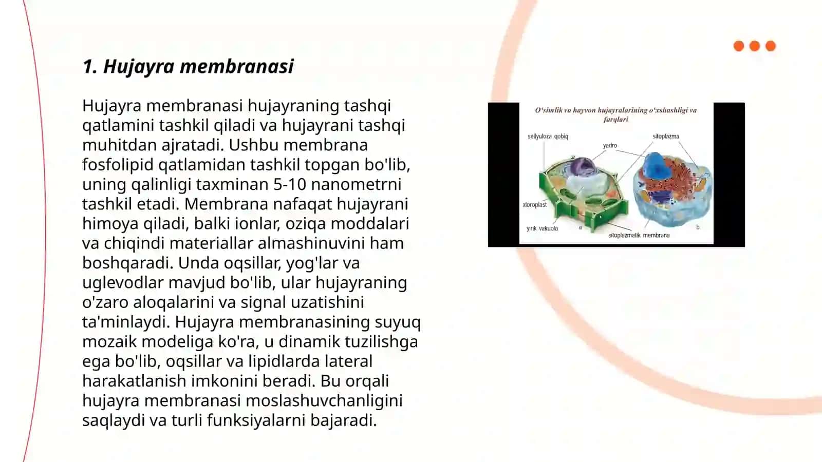 Hujayraning tashqi apparati.Glikokaliks, mikrotukchalar 3