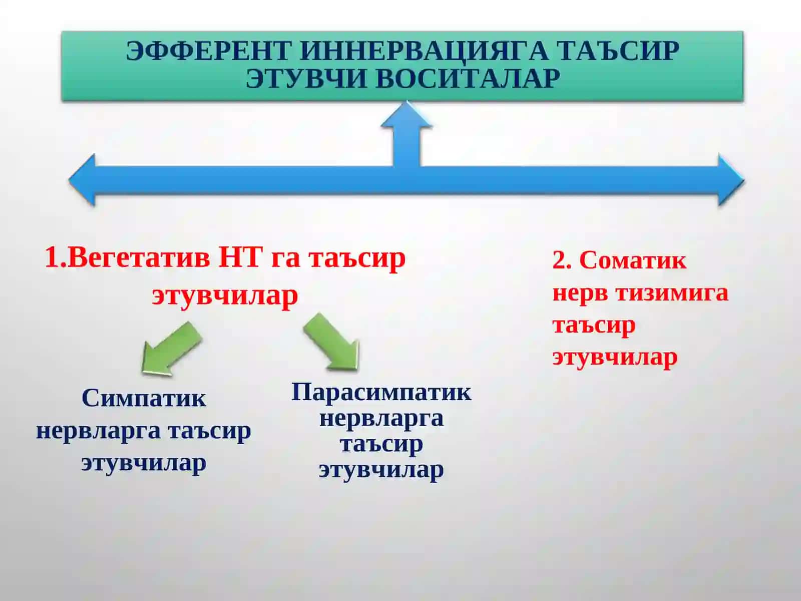 ХОЛИНОРЕЦЕПТОРЛАРГА ТАЪСИР ЭТУВЧИ ВОСИТАЛАР 3