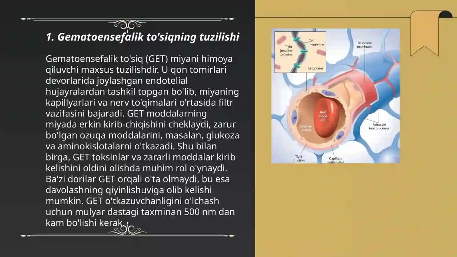 Gematoensefalik to'siq gistofiziologiyasi 3