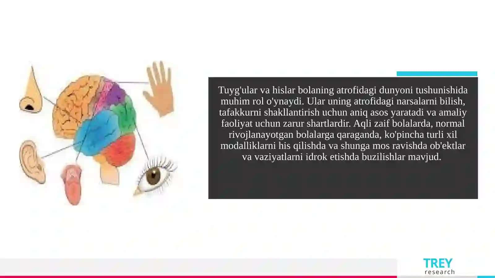 Maktabgachayoshdagi aqli zaif bolalarning sezgi va idrok xususiyatlari 3