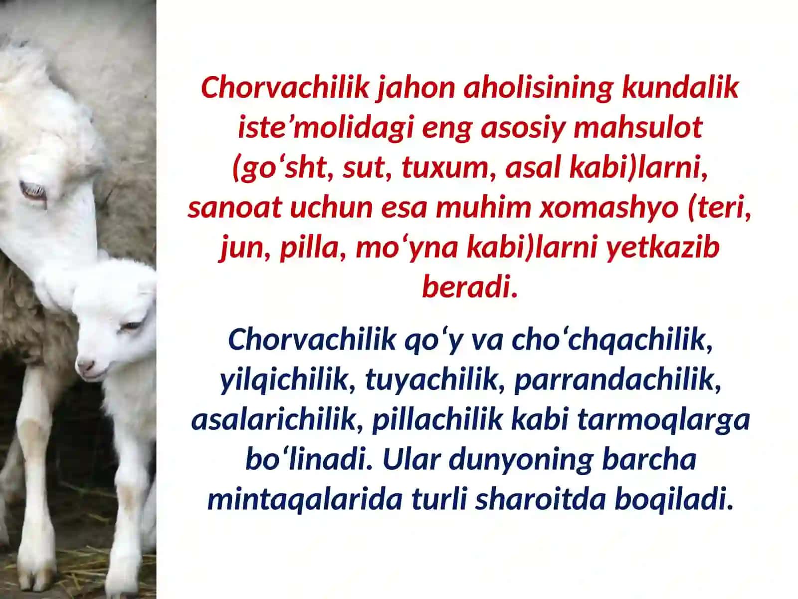 Baliq va boshqa dengiz mahsulotlari 3