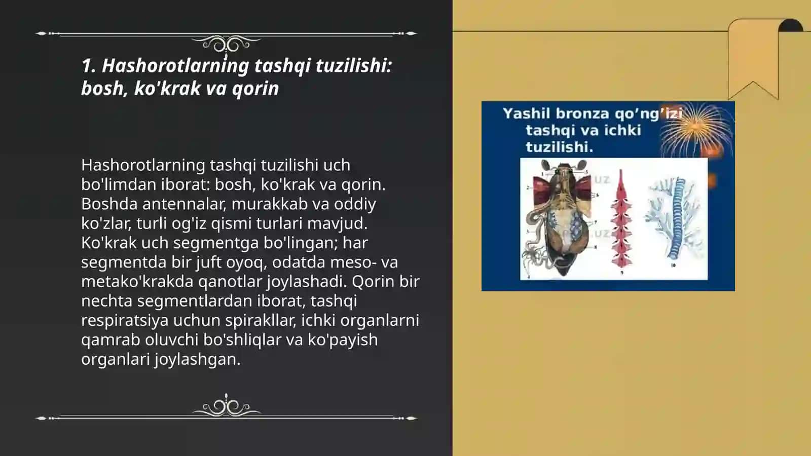 Hashorotlar sinfi 3