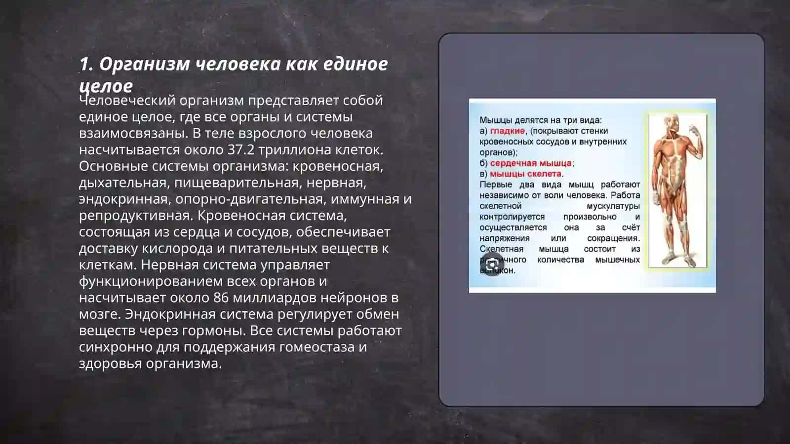 Организм как единое целое.Синтаксис.Простое предложении.Главние члени предложения.Поллежашее.Сказуемое 3