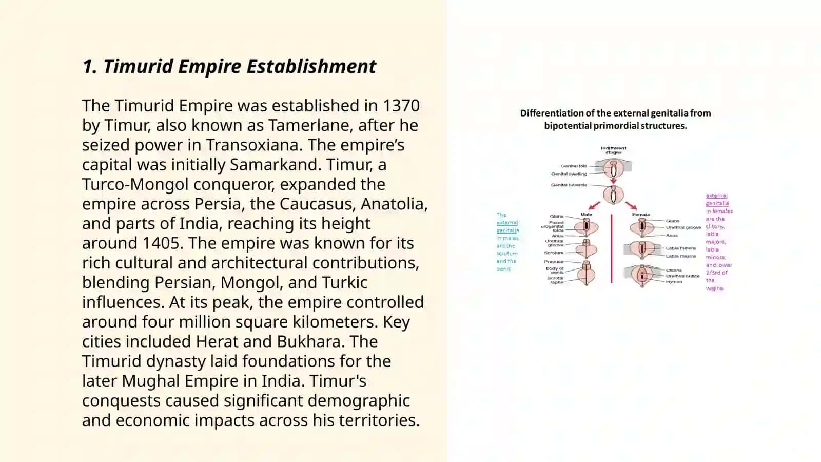 Timurid Empire Establishment 3