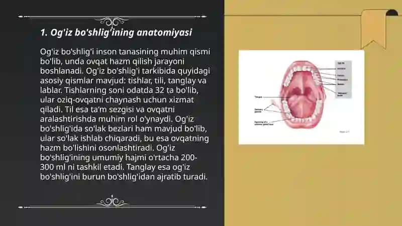 Stomatalogiyada og’iz bo’shlig’i va tishlarning biologiyasi 3
