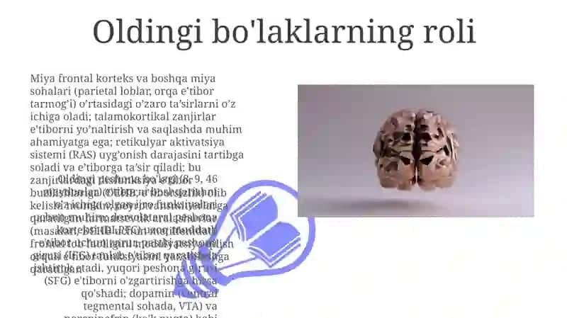 Diqqat haqida tushuncha va uning nerv-fiziologik asoslari 3