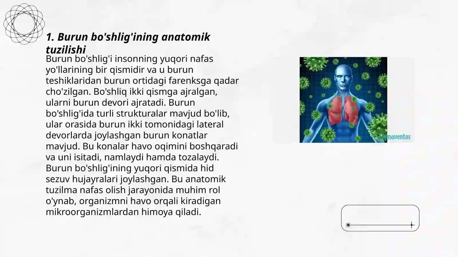 Nafas olish azolarining tuzilishi burun bòshligi kekirdakning tuzilishi opka plevra pardasining tuzilishi 3