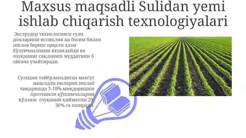 Maxsus maqsadli Sulidan yormalar ishlab chiqarish texnologiyasi 3