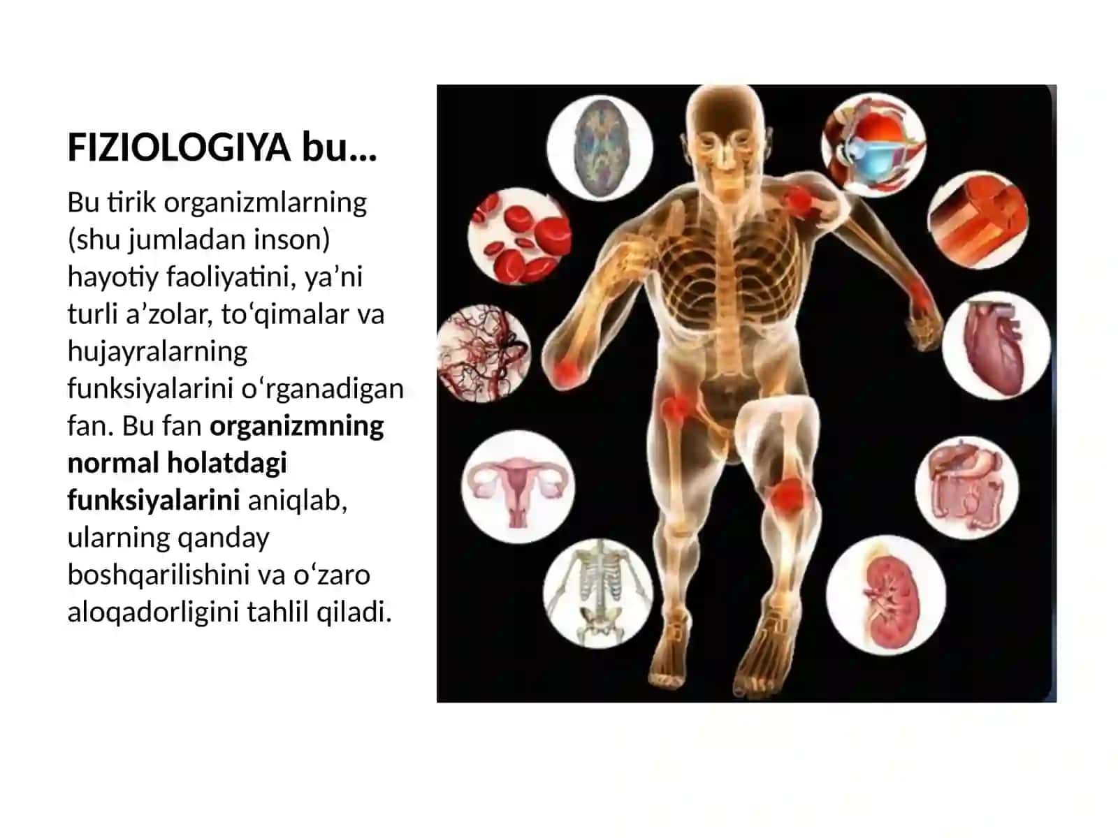 Fiziologiya fani,rivojlanishi,tibbiyotda ahamiyati.Organizmda funksiyalarning boshqarilishi.Organizm 3