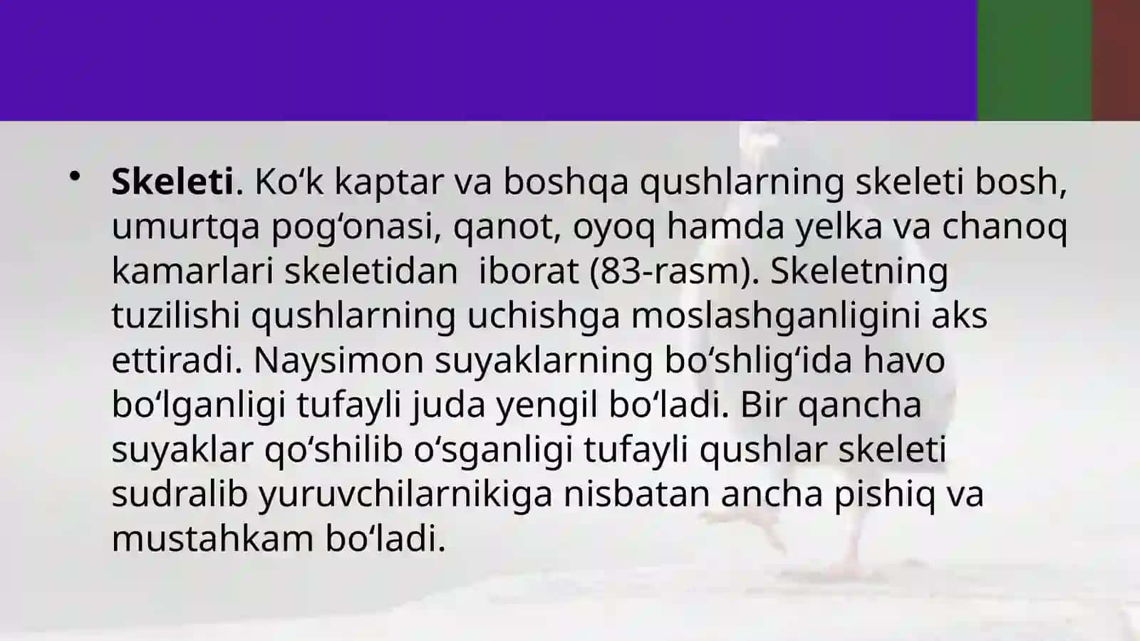 7-sinf Zoologiya 'Ko'k kaptarning skeleti va muskullari' ko'rgazma 3