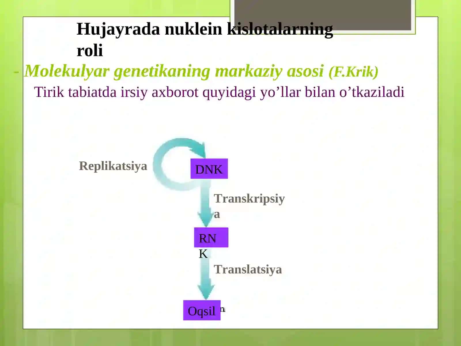 Nuklein kislotalarning tuzilishi,nuklein asoslari,nukleozidlar,mononukleotidlar. 3