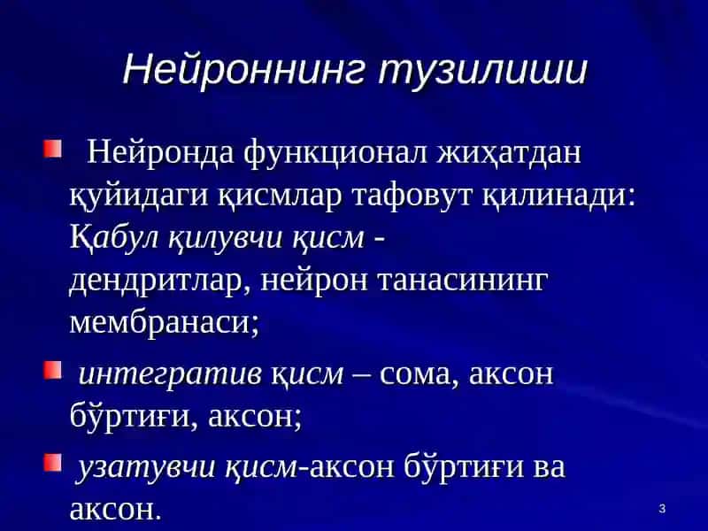 Марказий нерв тизими умумий физиологияси 3